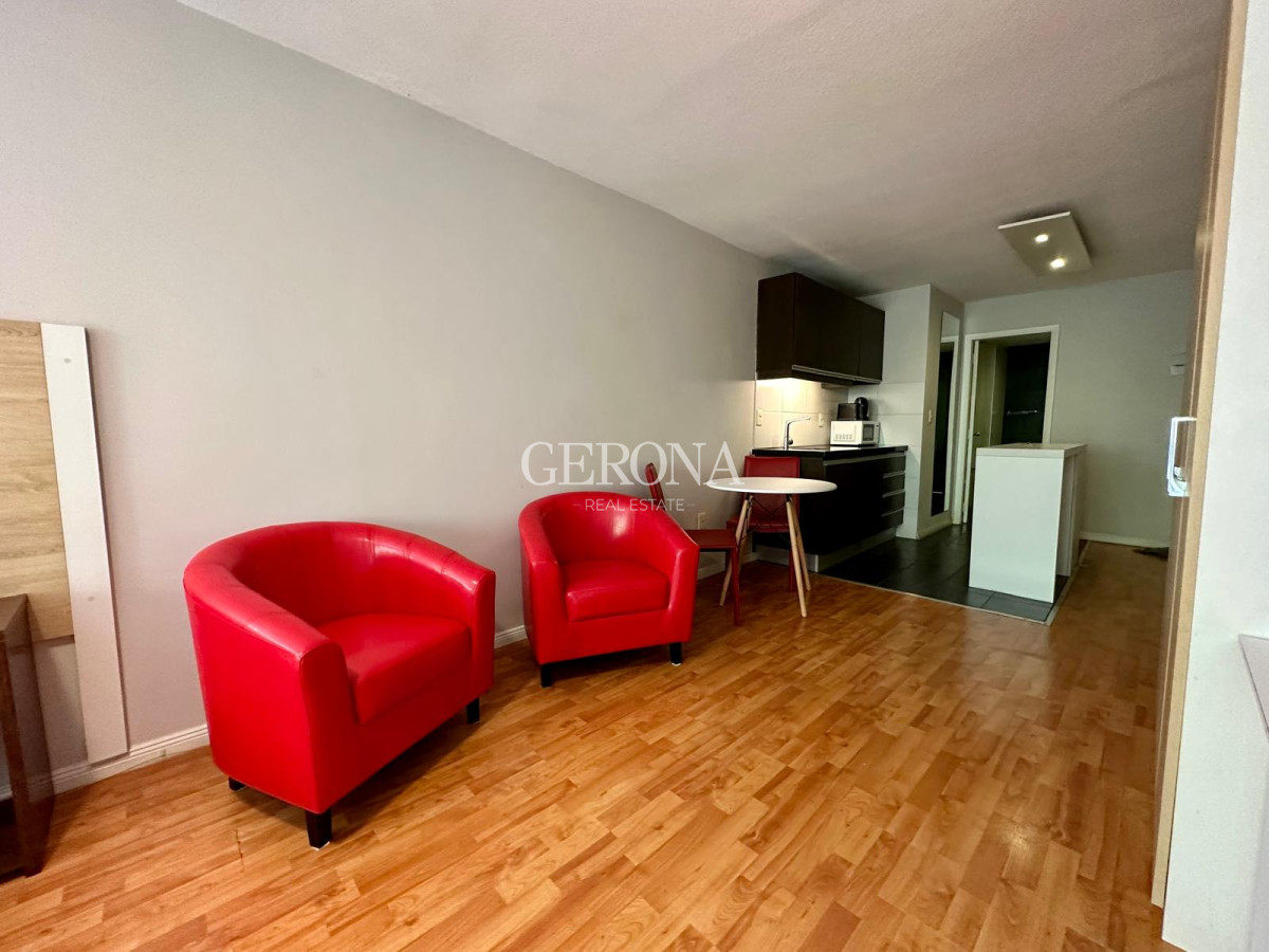 Apartamento ID.252 - Alquiler Monoambiente en Pocitos
