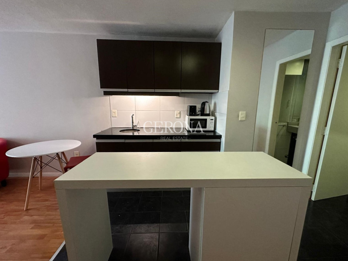 Apartamento ID.252 - Alquiler Monoambiente en Pocitos