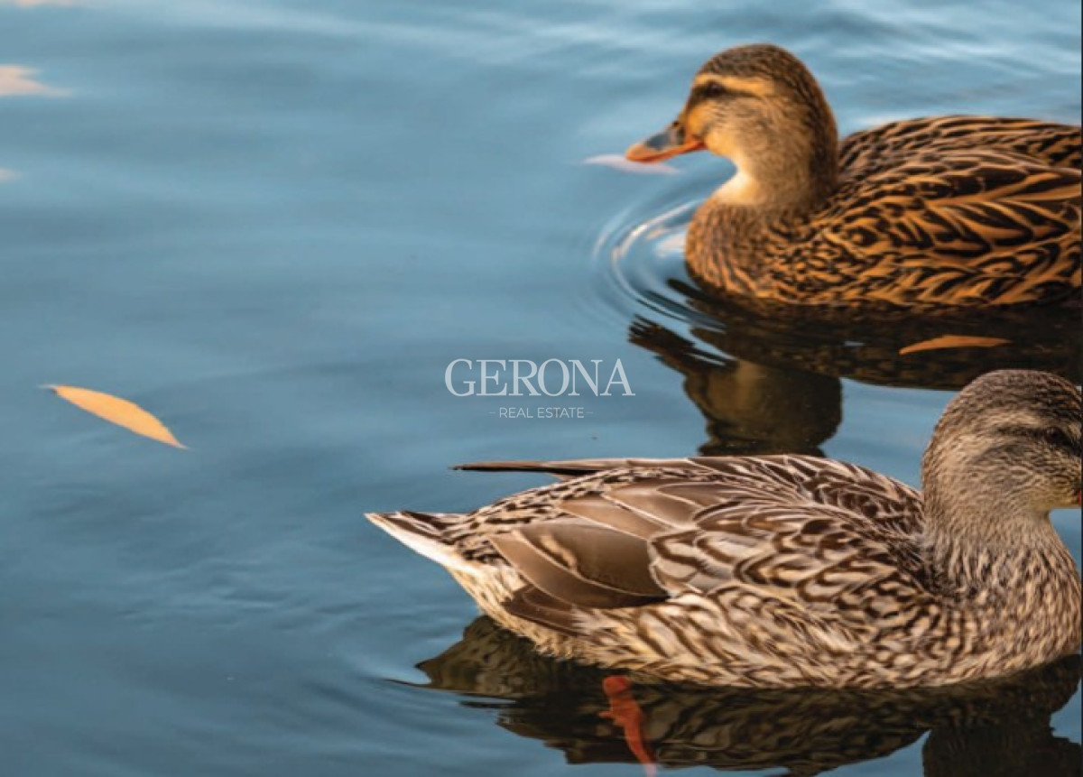 Apartamento ID.292 - Venta de apartamento, Villa de 4 dormitorios con jardín y vista al Lago en Marinas Carrasco