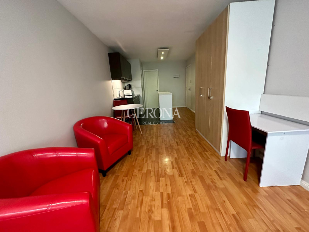 Apartamento ID.252 - Alquiler Monoambiente en Pocitos