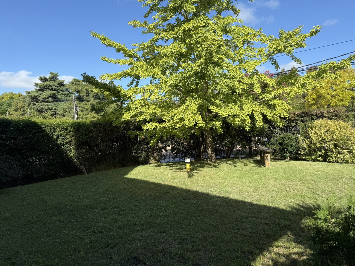 Casa Ph  en venta de 3 dormitorios, 2 garajes y jardìn de uso exclusivo, en Carrasco