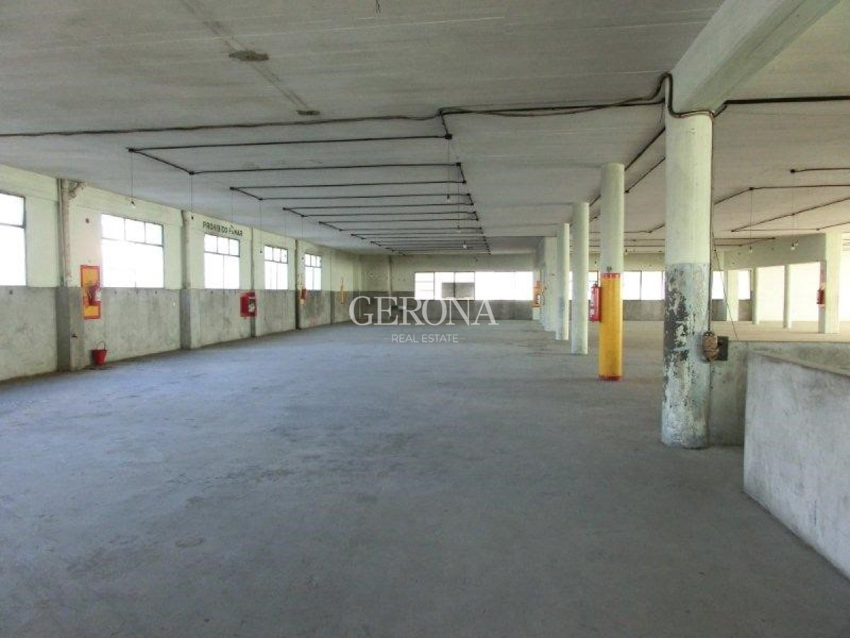 Local Comercial ID.278 - Alquiler Local, showroom, depósito, cowork en Aguada