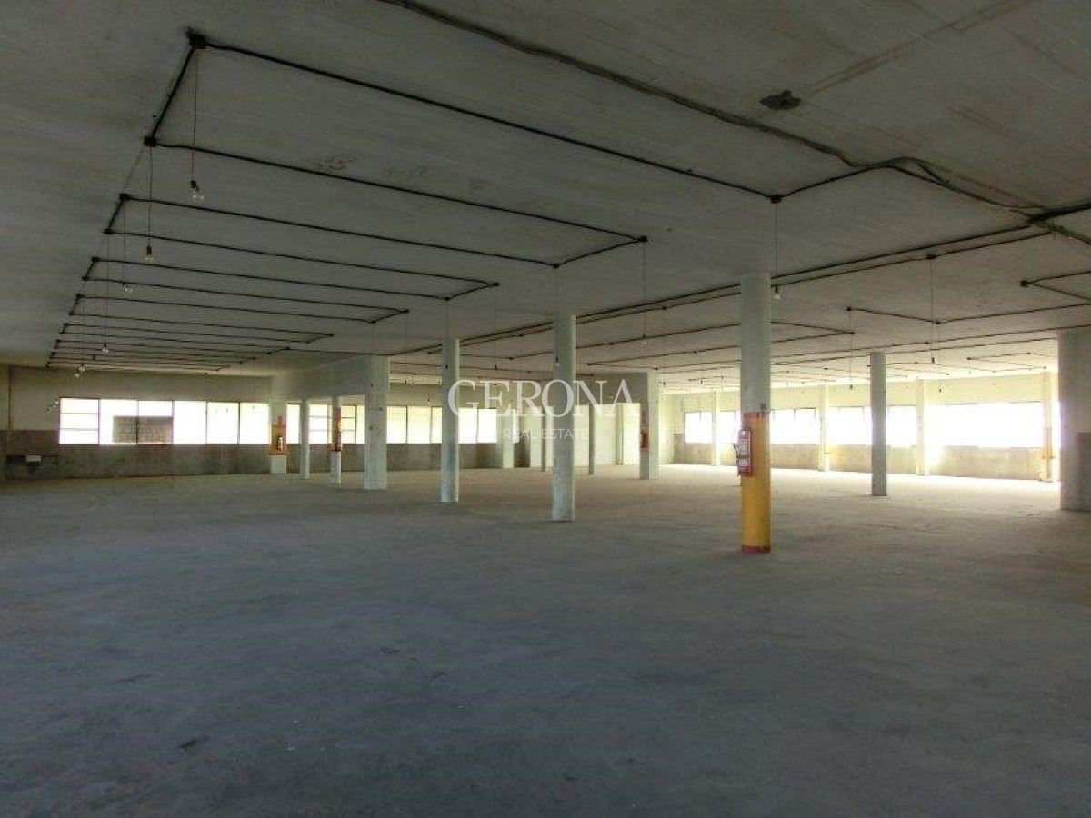 Local Comercial ID.278 - Alquiler Local, showroom, depósito, cowork en Aguada