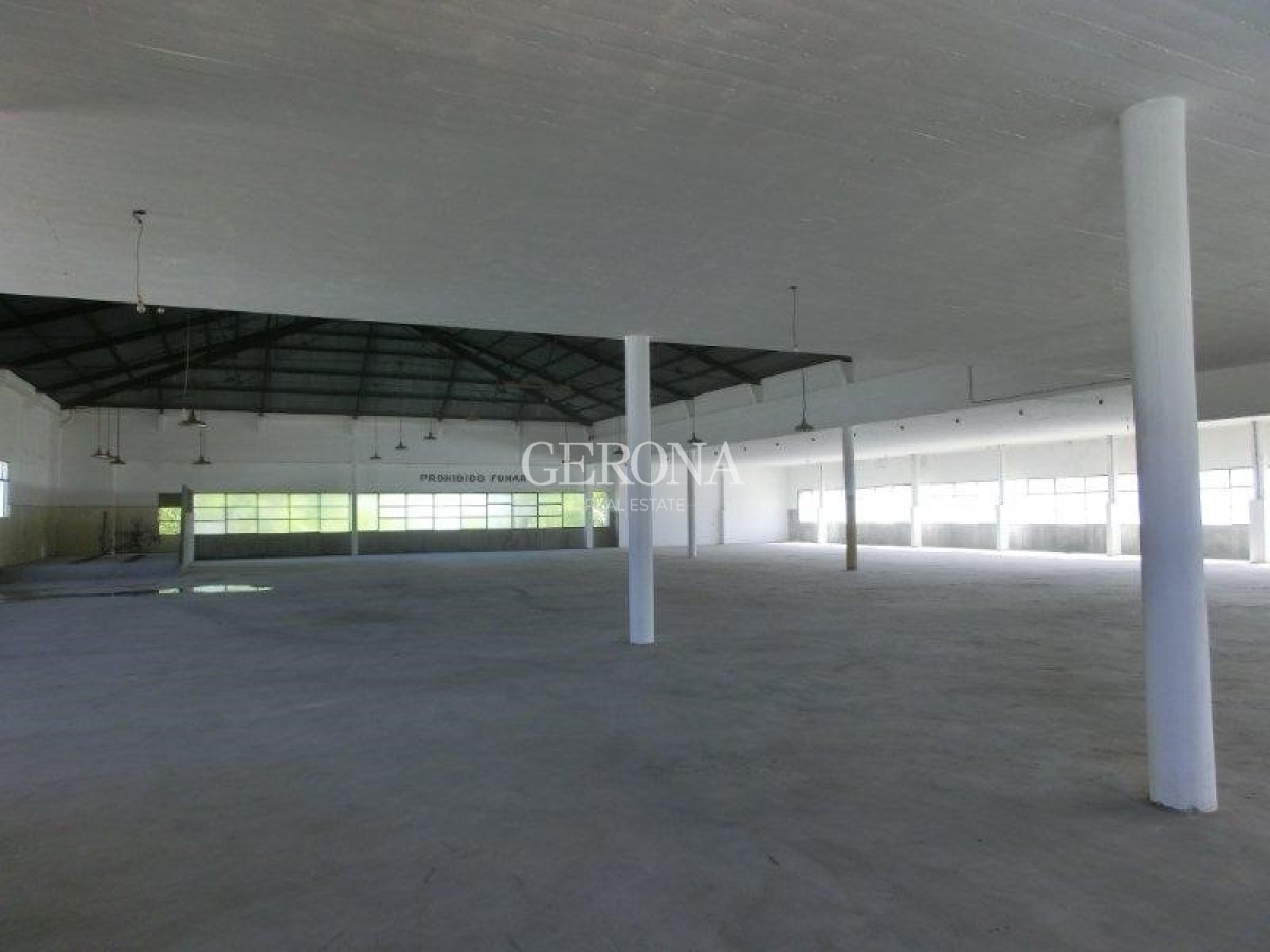 Local Comercial ID.278 - Alquiler Local, showroom, depósito, cowork en Aguada