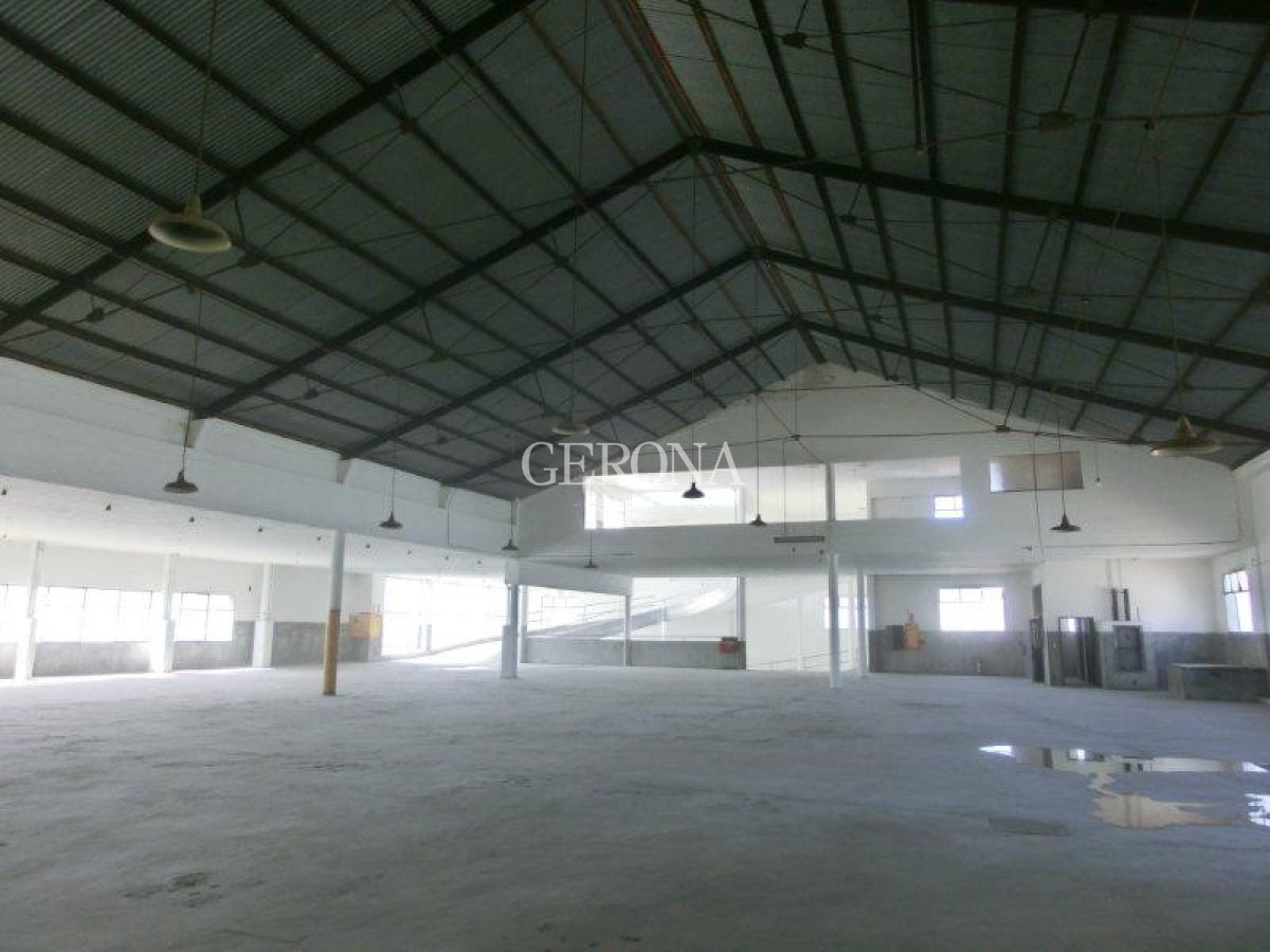 Local Comercial ID.278 - Alquiler Local, showroom, depósito, cowork en Aguada