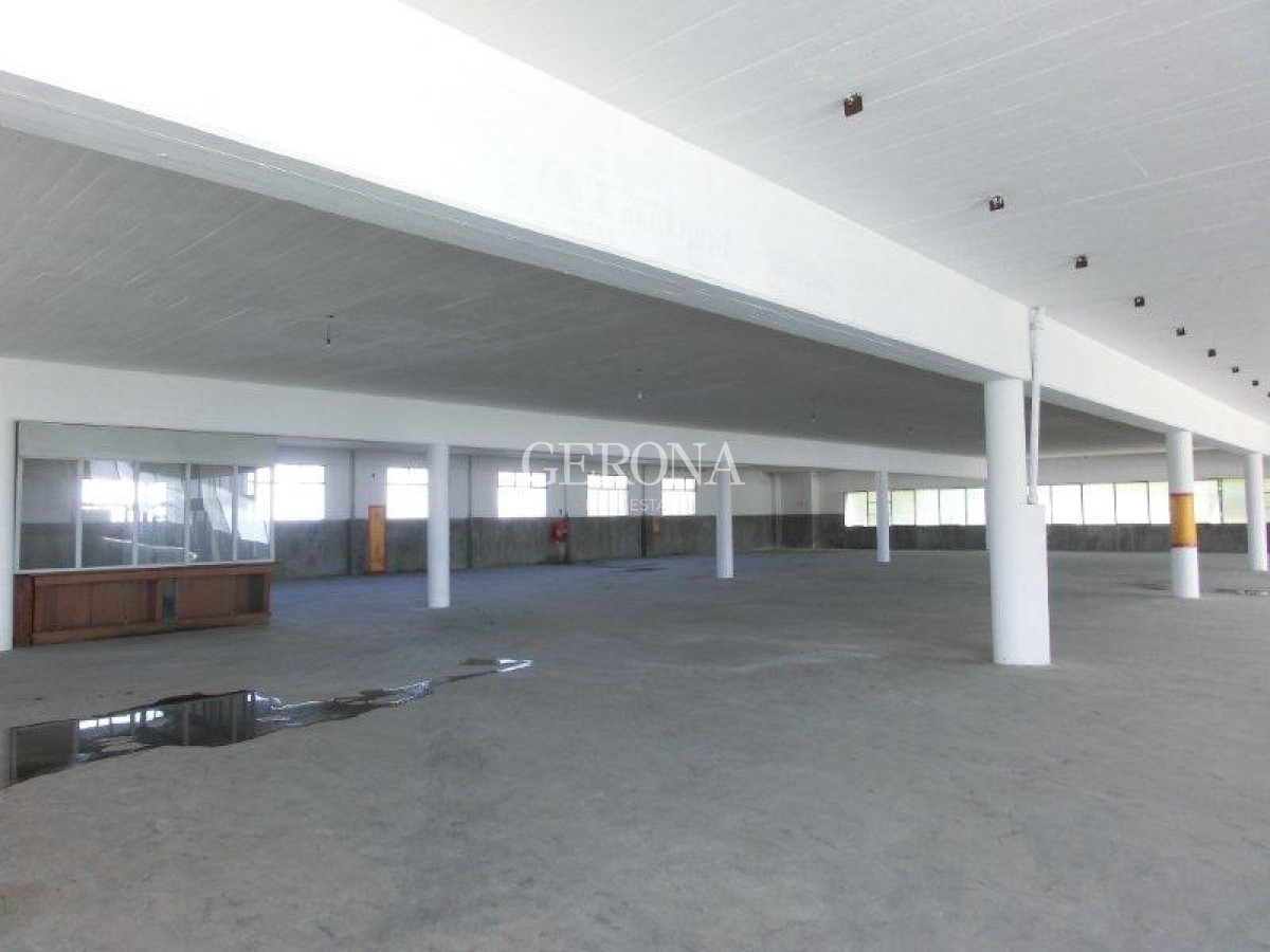 Local Comercial ID.278 - Alquiler Local, showroom, depósito, cowork en Aguada