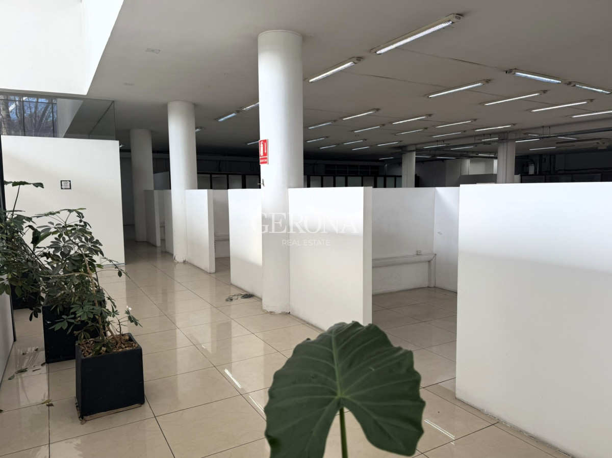 Local Comercial ID.278 - Alquiler Local, showroom, depósito, cowork en Aguada