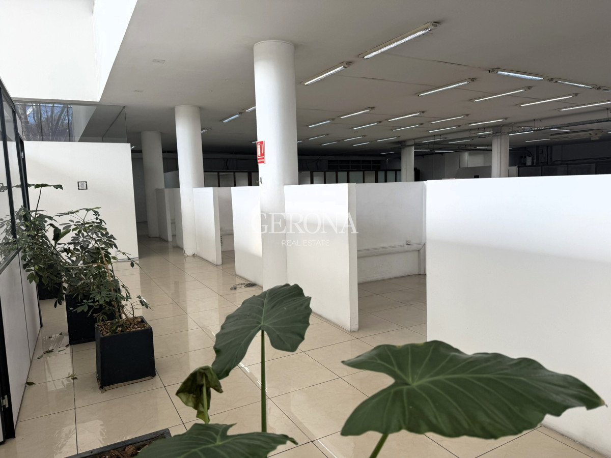 Local Comercial ID.278 - Alquiler Local, showroom, depósito, cowork en Aguada