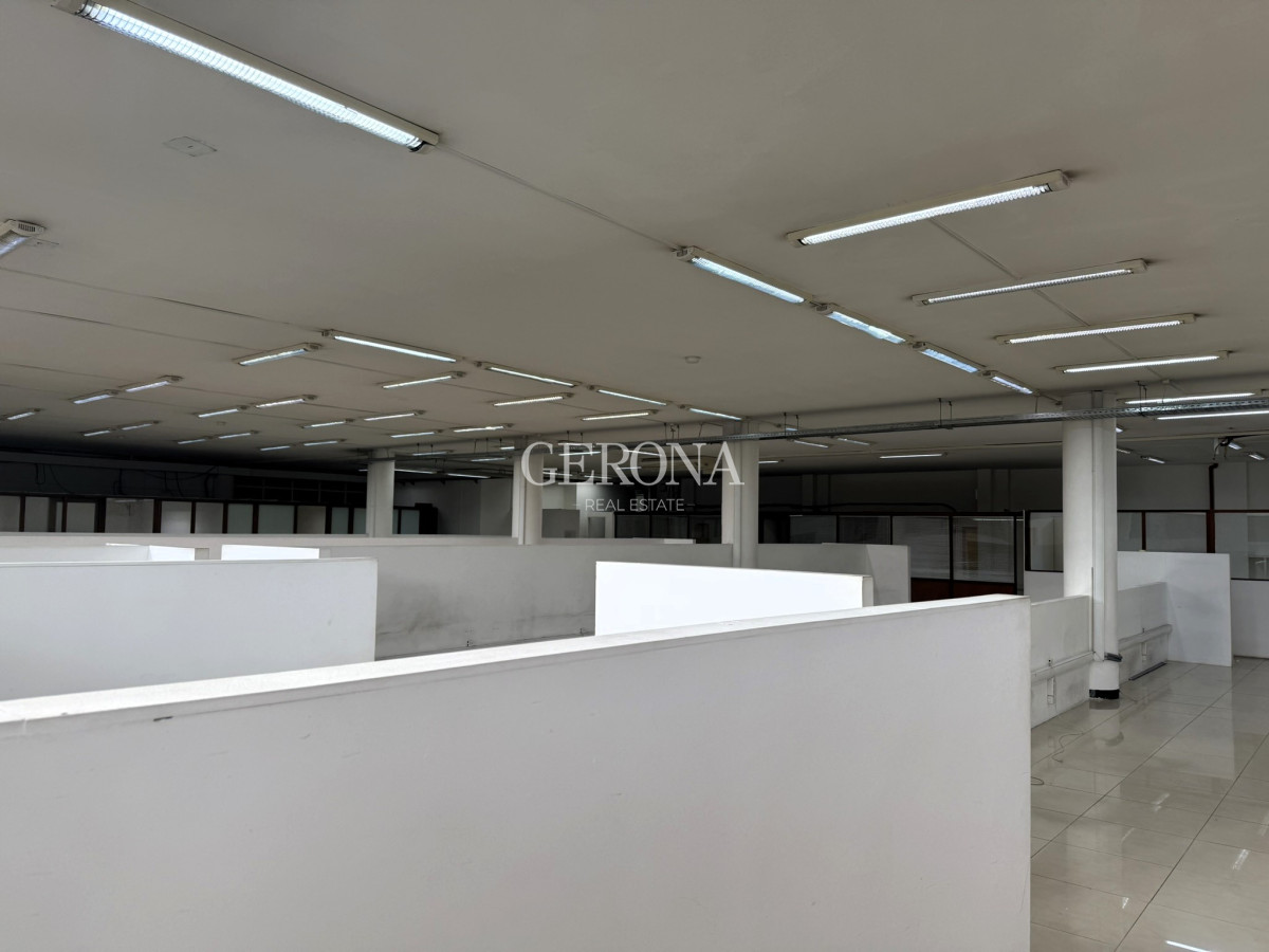 Local Comercial ID.278 - Alquiler Local, showroom, depósito, cowork en Aguada