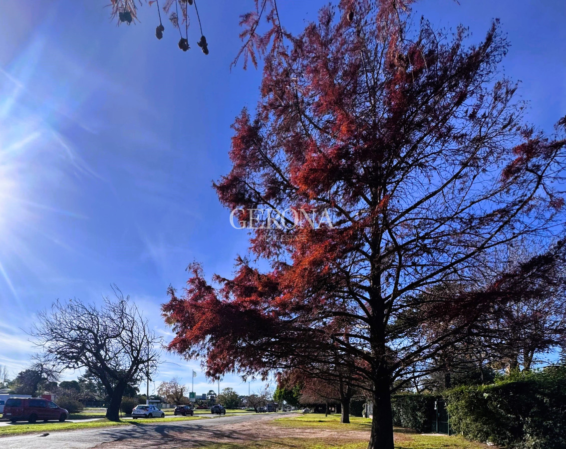 Terreno ID.145 - Venta Terreno 539 m2. Sobre Av. Italia. Carrasco Sur