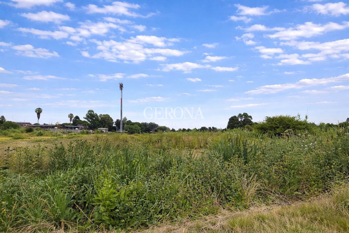 Terreno ID.295 - Venta Terreno de 3,5 hectáreas sobre Ruta 8 