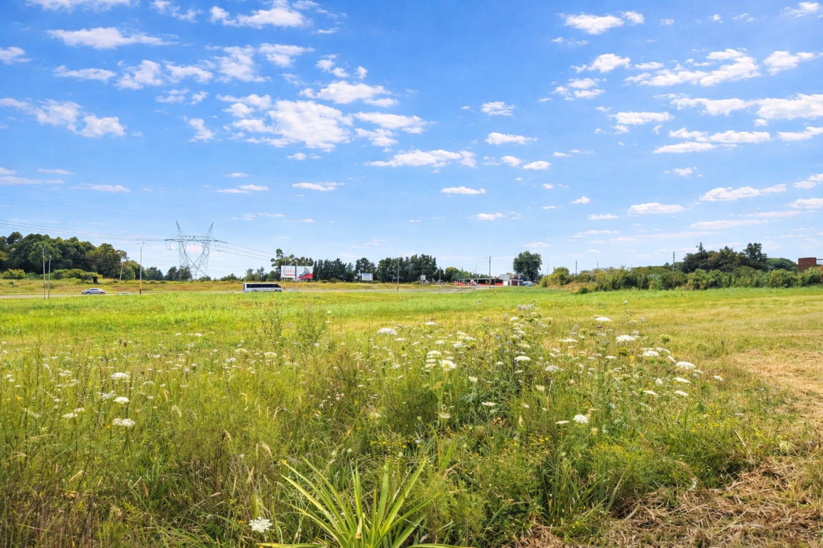 Venta Terreno de 3,5 hectáreas sobre Ruta 8 