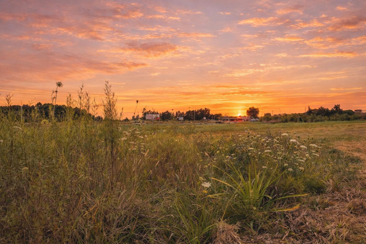 Venta Terreno de 3,5 hectáreas sobre Ruta 8 