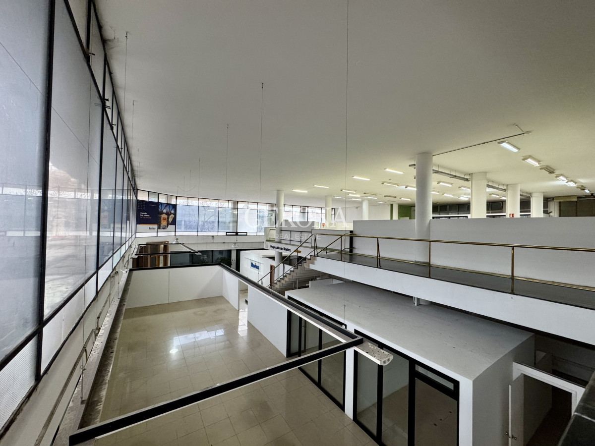 Oficina ID.276 - Alquiler de Oficinas + Showroom+ Depósito en Aguada