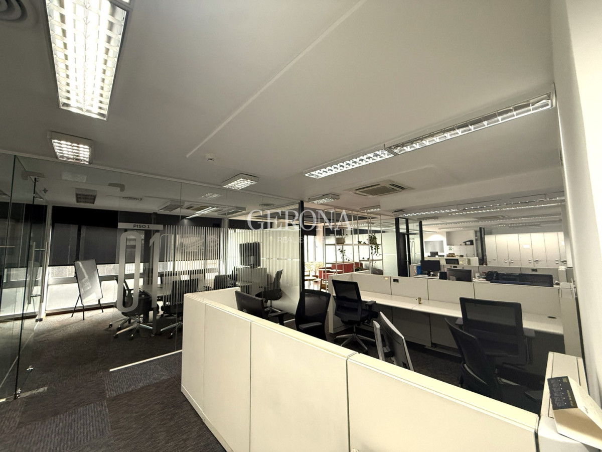 Oficina ID.319 - Alquiler Oficina Corporativa de 715 mts, equipada para 100 puestos, en Ciudad Vieja.