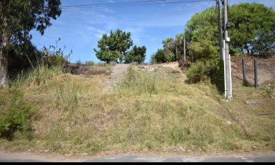 TERRENO EN ALTOS DEL PINAR