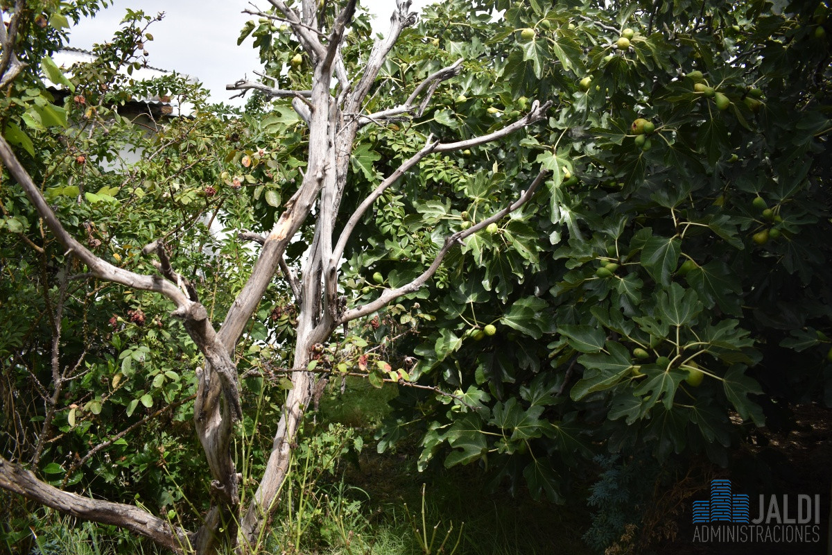 Casa ID.53 - CASA EN VENTA CERRO PELADO