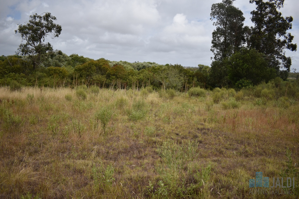 Chacra ID.54 - CHACRA EN VENTA SAN CARLOS 