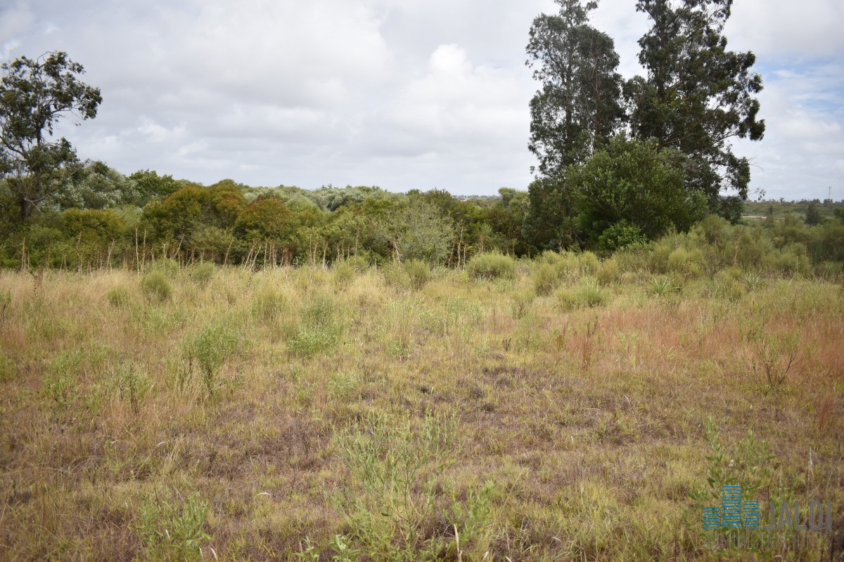 Chacra ID.54 - CHACRA EN VENTA SAN CARLOS 