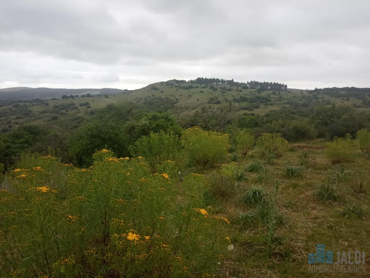 Chacra ID.87 - CHACRA EN VENTA SOBRE RUTA 12 A 3KM DE PUEBLO EDEN 