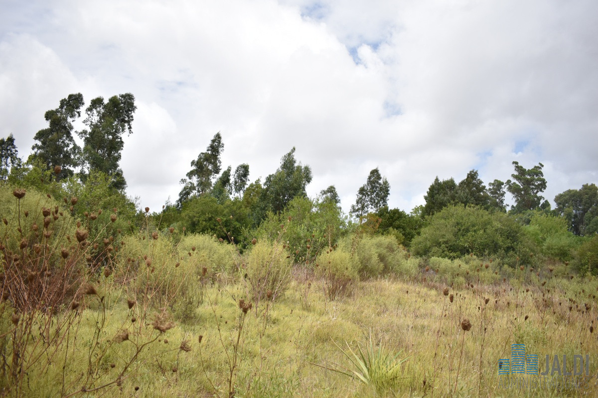 Chacra ID.54 - CHACRA EN VENTA SAN CARLOS 