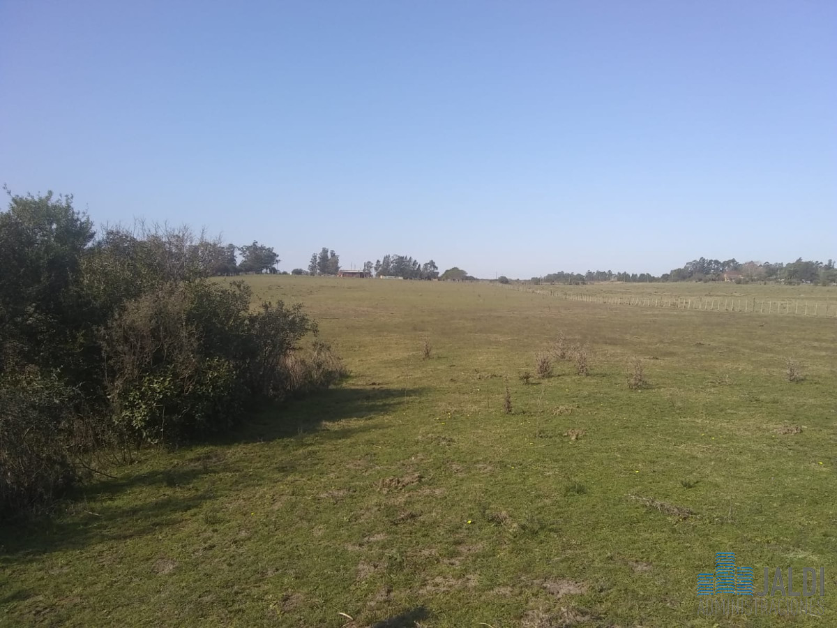 Chacra ID.50 - CHACRA 6 HAS RUTA 39