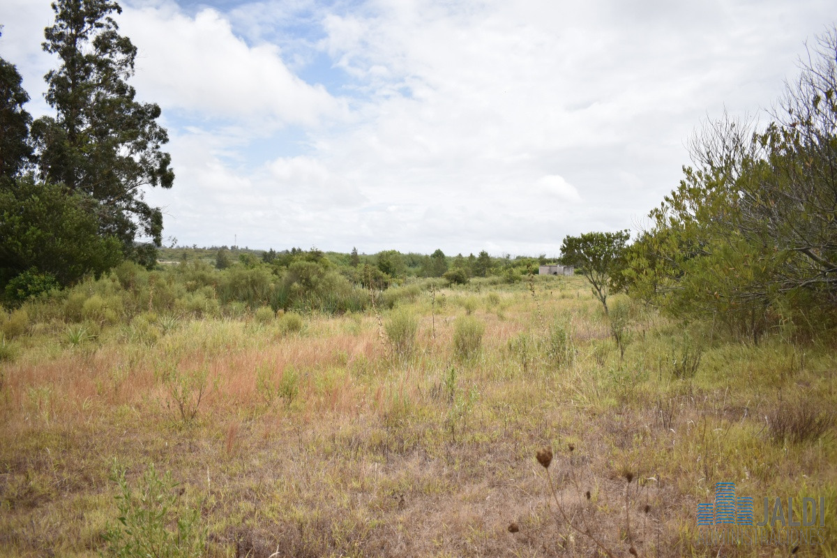 Chacra ID.54 - CHACRA EN VENTA SAN CARLOS 