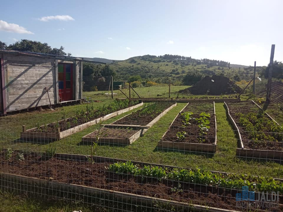 Chacra ID.87 - CHACRA EN VENTA SOBRE RUTA 12 A 3KM DE PUEBLO EDEN 
