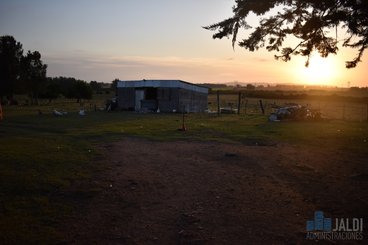 Chacra ID.50 - CHACRA 6 HAS RUTA 39