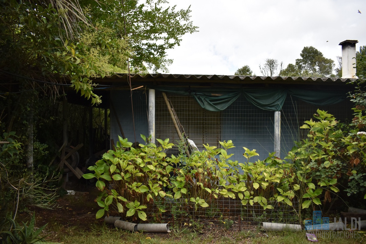 Chacra ID.54 - CHACRA EN VENTA SAN CARLOS 