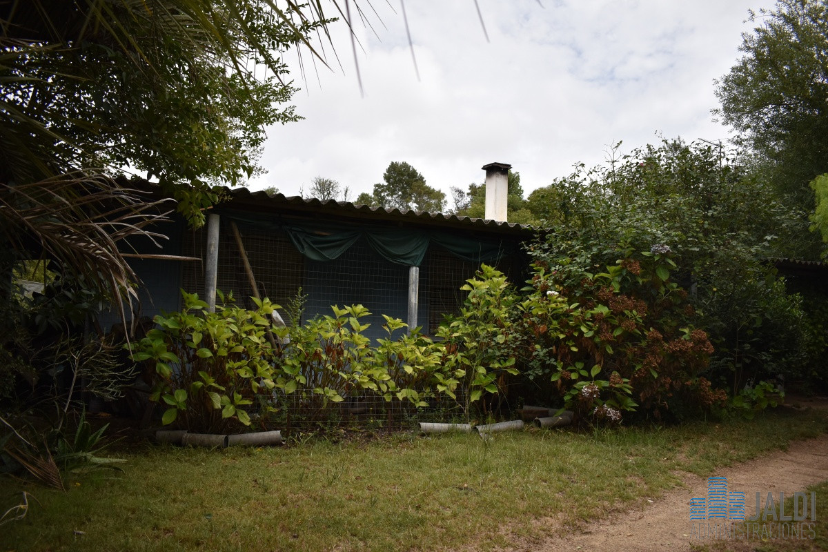Chacra ID.54 - CHACRA EN VENTA SAN CARLOS 