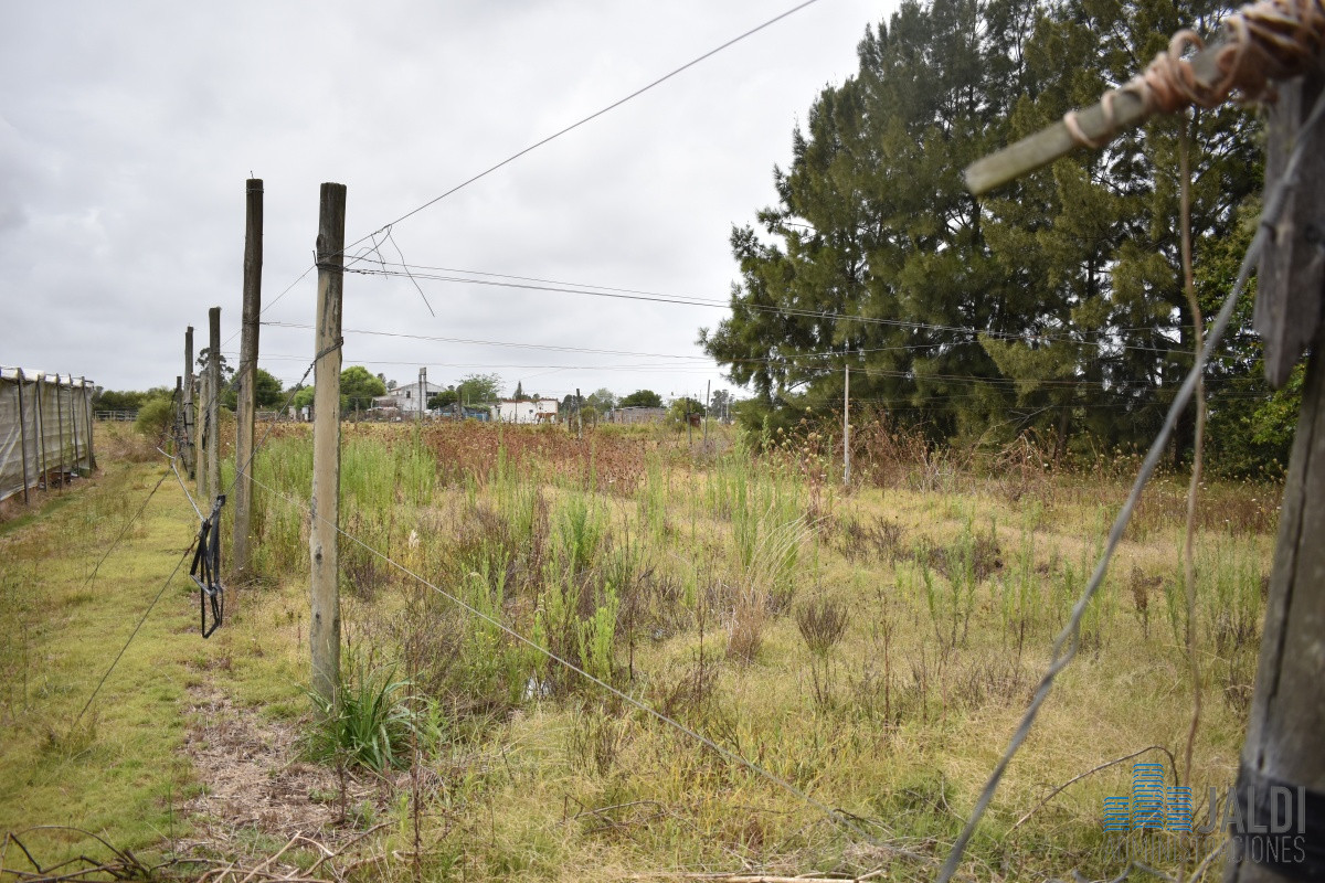 Chacra ID.54 - CHACRA EN VENTA SAN CARLOS 