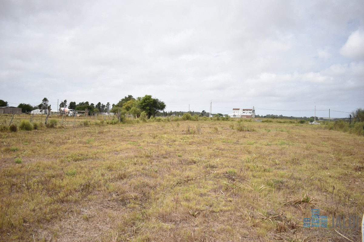 Chacra ID.54 - CHACRA EN VENTA SAN CARLOS 
