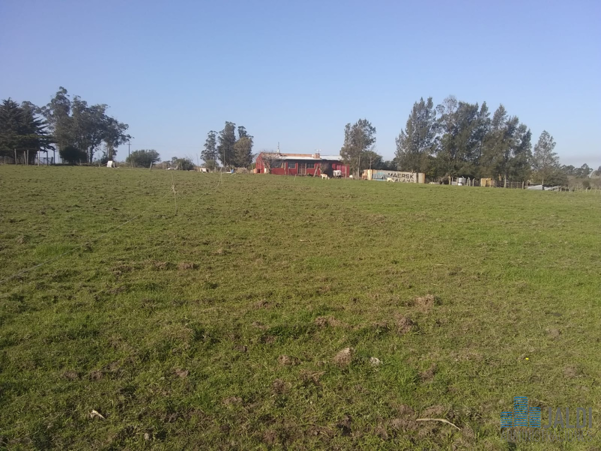 Chacra ID.50 - CHACRA 6 HAS RUTA 39