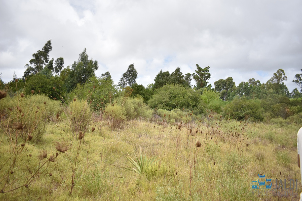 Chacra ID.54 - CHACRA EN VENTA SAN CARLOS 