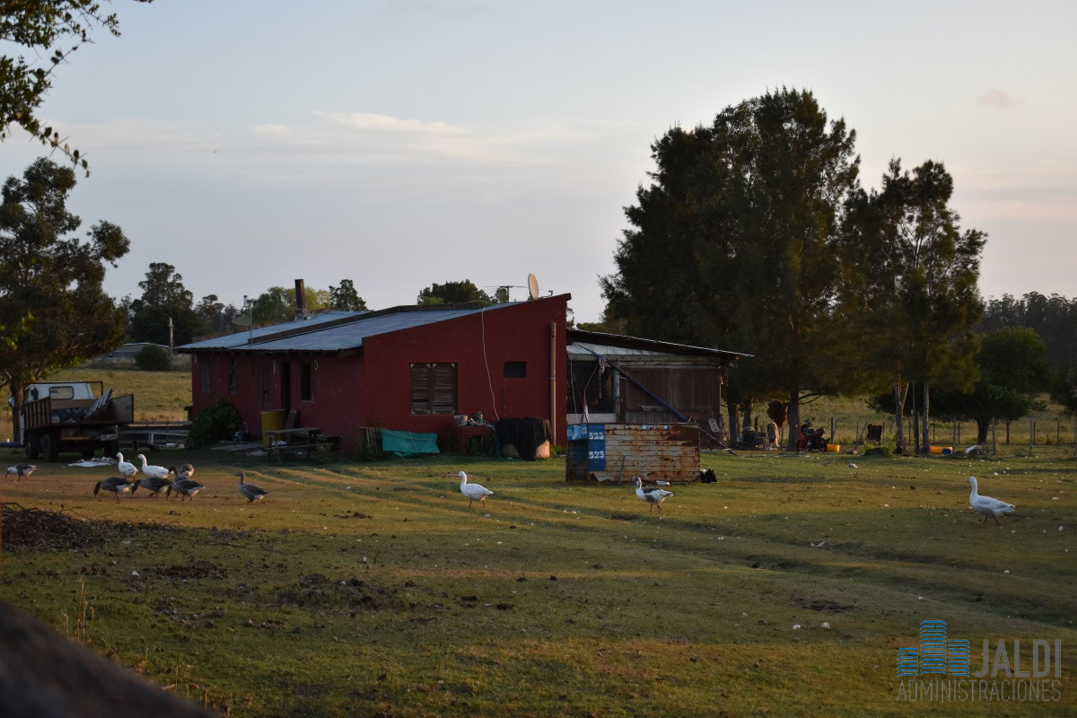 Chacra ID.50 - CHACRA 6 HAS RUTA 39