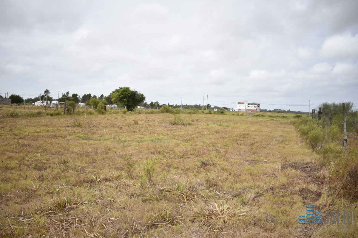 Chacra ID.54 - CHACRA EN VENTA SAN CARLOS 
