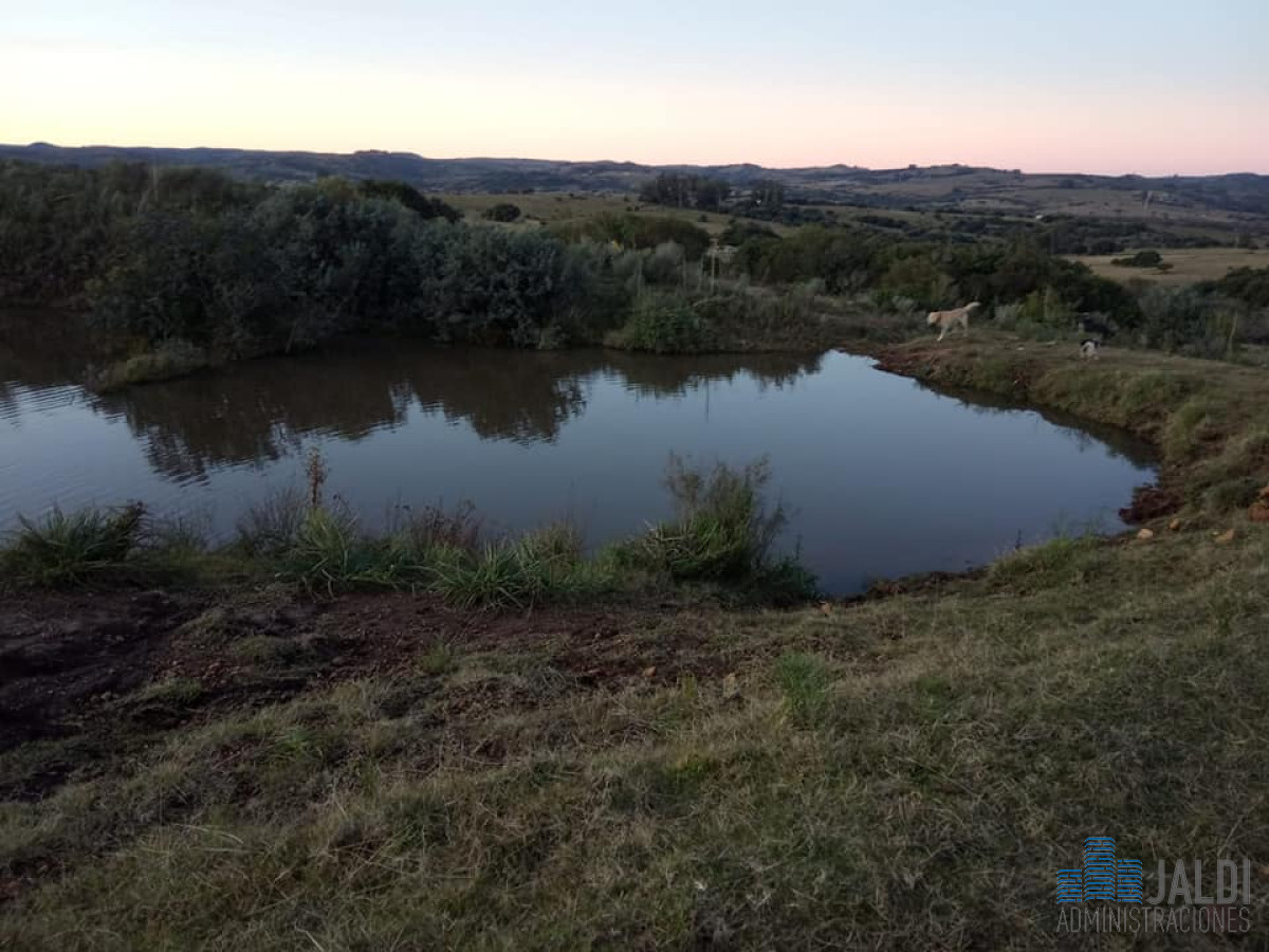 Chacra ID.87 - CHACRA EN VENTA SOBRE RUTA 12 A 3KM DE PUEBLO EDEN 