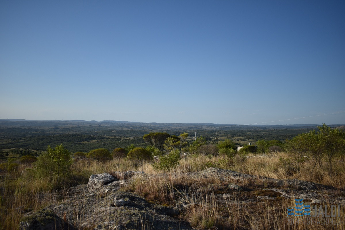 Chacra ID.52 - CHACRA RUTA A 5 KM RUTA 39 CON PISCINA 