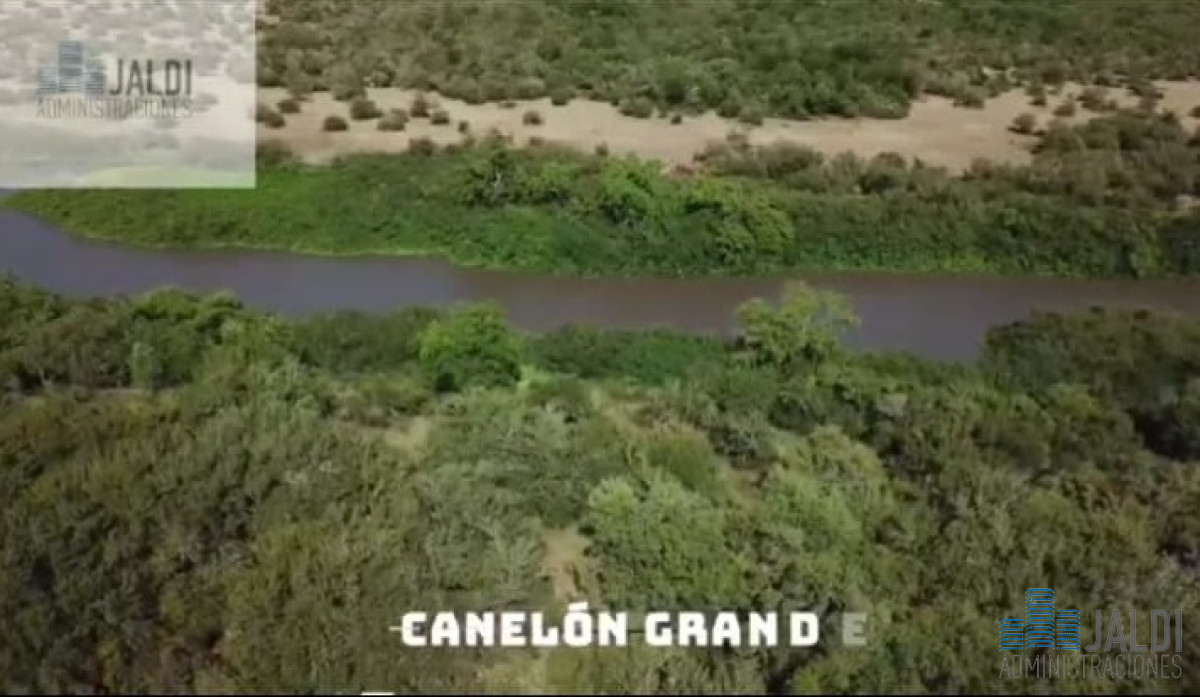 Campo Ref.33 - EN VENTA CAMPO CANELONES CONEAT 180