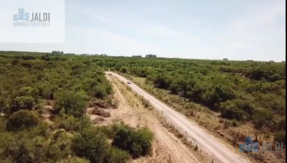 Campo Ref.34 - EN VENTA ESTABLECIMIENTO EN PASO PACHE 