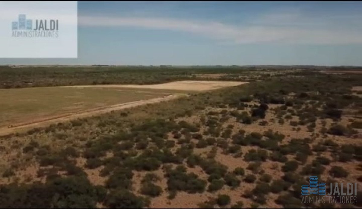 Campo Ref.33 - EN VENTA CAMPO CANELONES CONEAT 180