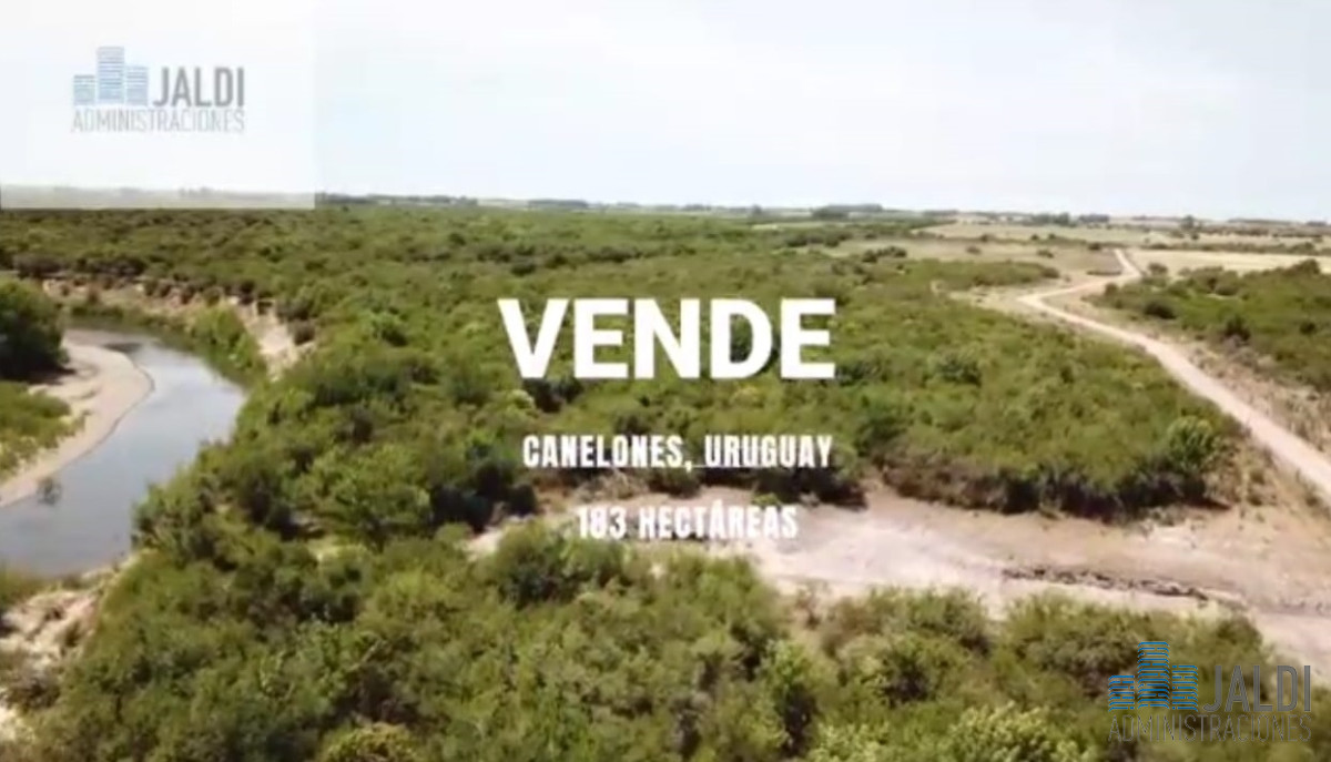 Campo Ref.34 - EN VENTA ESTABLECIMIENTO EN PASO PACHE 