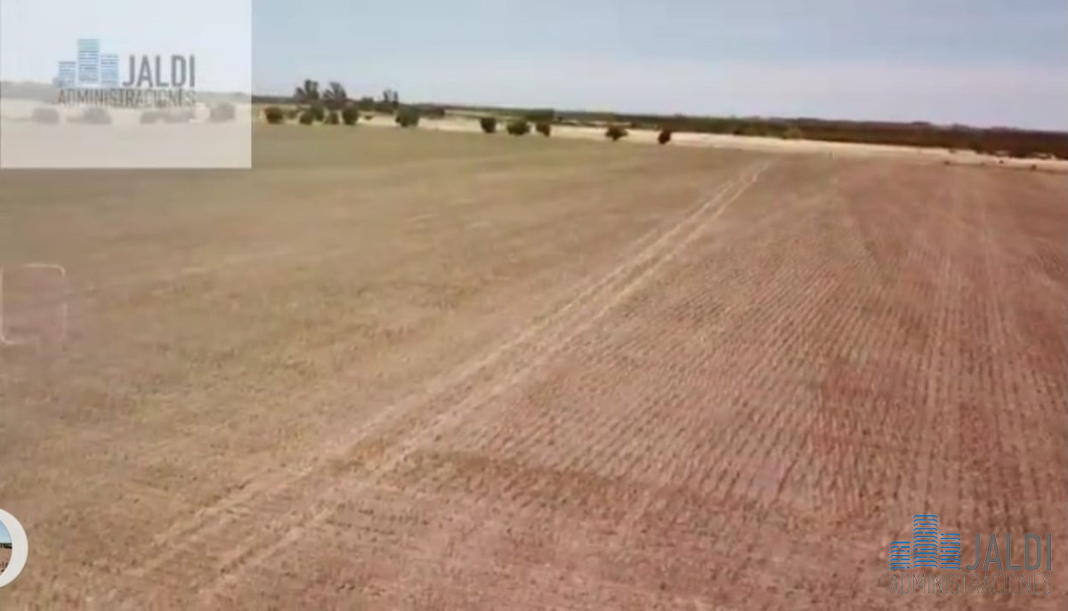 Campo Ref.34 - EN VENTA ESTABLECIMIENTO EN PASO PACHE 