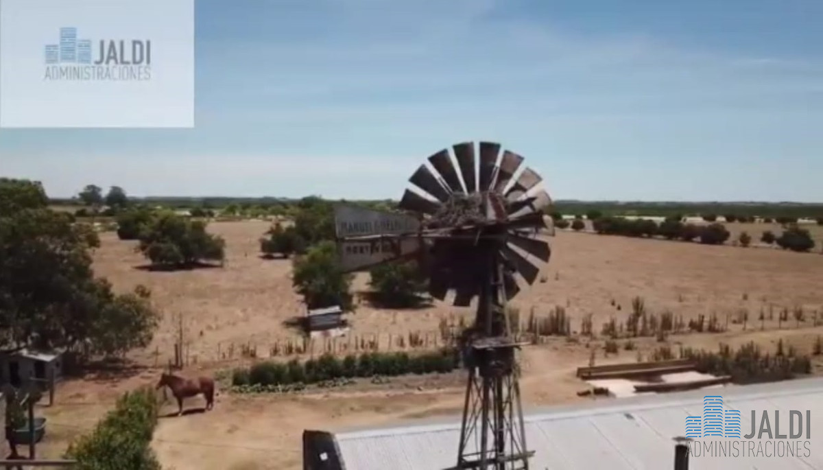 Campo Ref.34 - EN VENTA ESTABLECIMIENTO EN PASO PACHE 