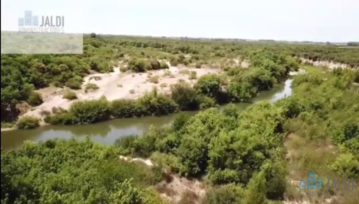 Campo Ref.34 - EN VENTA ESTABLECIMIENTO EN PASO PACHE 