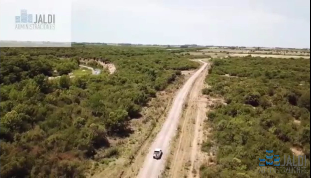 Campo Ref.34 - EN VENTA ESTABLECIMIENTO EN PASO PACHE 