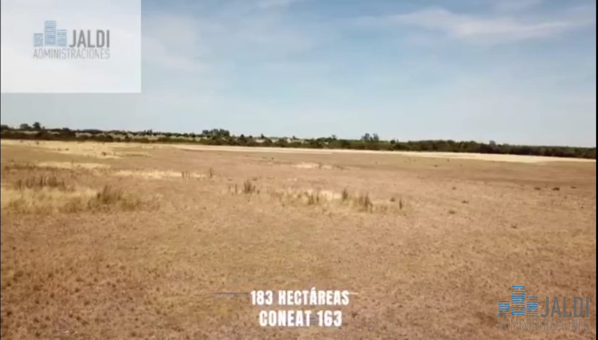 Campo Ref.34 - EN VENTA ESTABLECIMIENTO EN PASO PACHE 