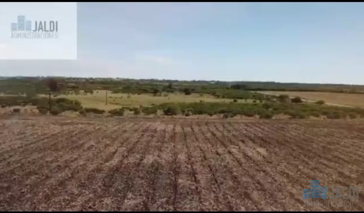 Campo Ref.33 - EN VENTA CAMPO CANELONES CONEAT 180