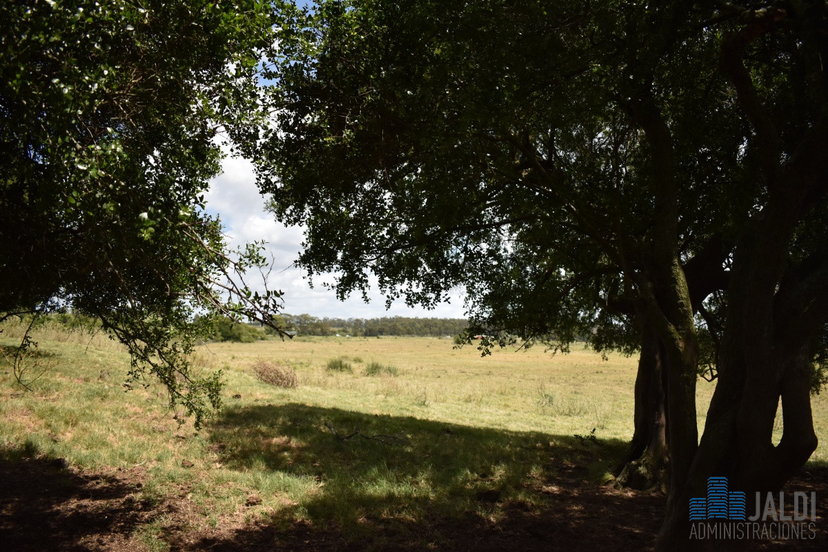 Campo Ref.4 - VENTA CAMPO GANADERO - TURÍSTICO 